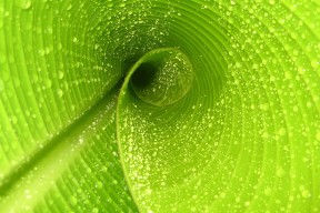 世界举重公开赛赛后营养方案推广至基层俱乐部，举重世界比赛