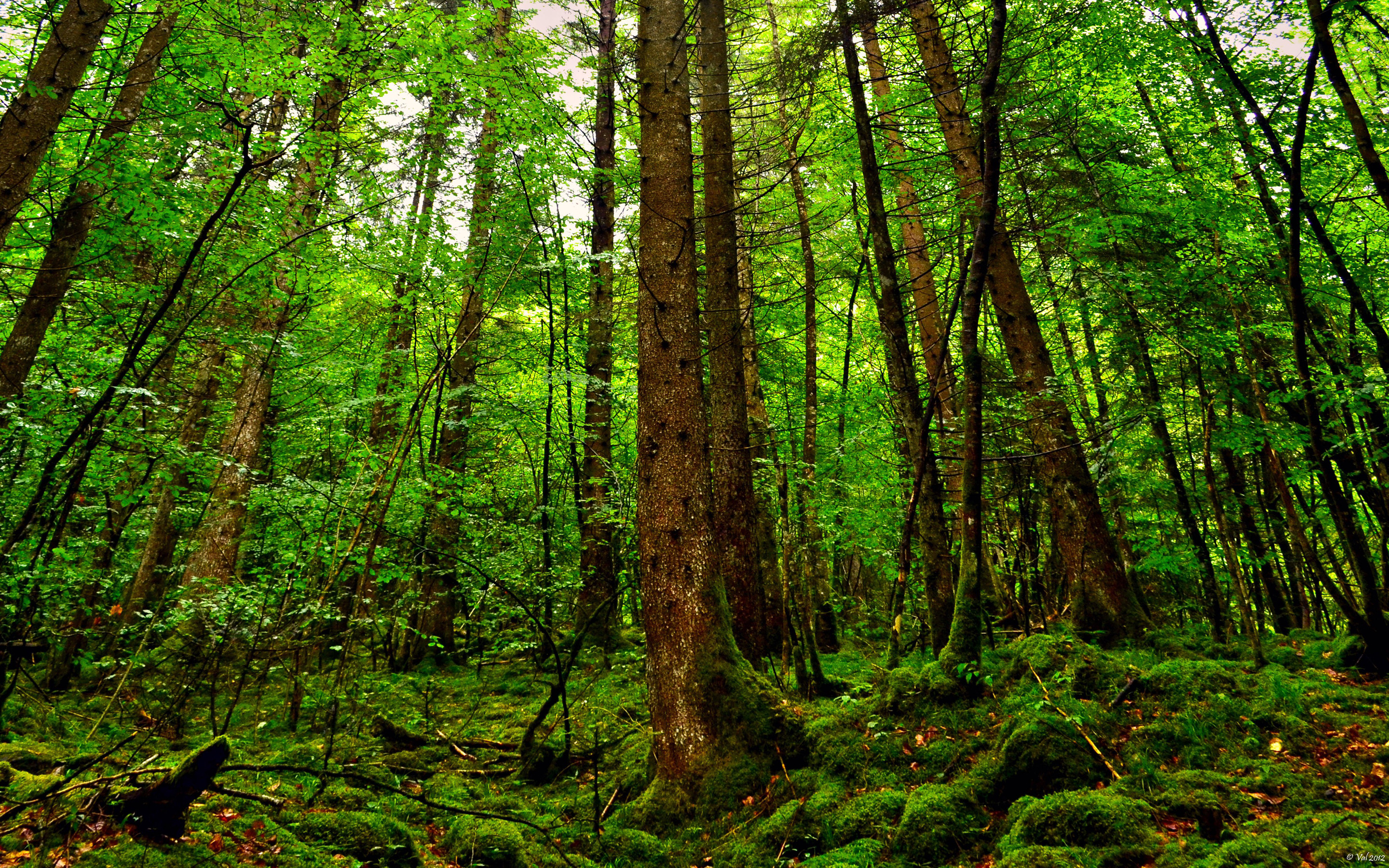 世界举重康复示范基地年度维护与升级手册第二版发布,世界举重锦标赛2021
